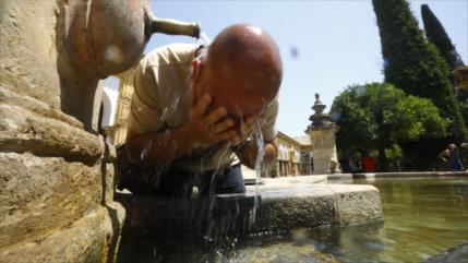OMS cifra: Ola de calor dejó 15 000 muertos en Europa en 2022