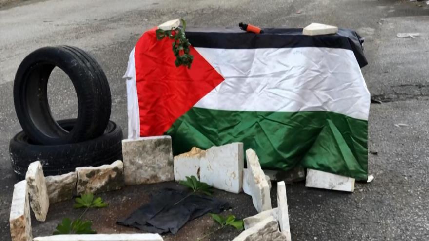 Palestina insta al mundo a reaccionar ante crímenes de Israel