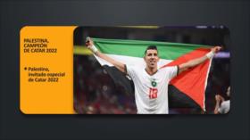 Palestina, campeón de Catar 2022 | PoliMedios
