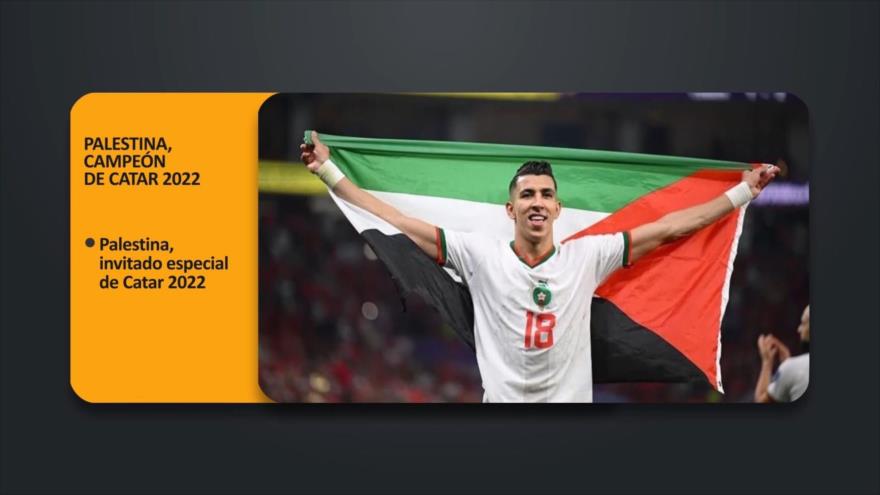 Palestina, campeón de Catar 2022 | PoliMedios
