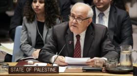 Palestina reclama a ONU actuar ante ejecuciones y crímenes de Israel