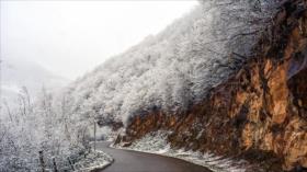 Llegada de nieve completa paleta de tonos otoñales en Irán
