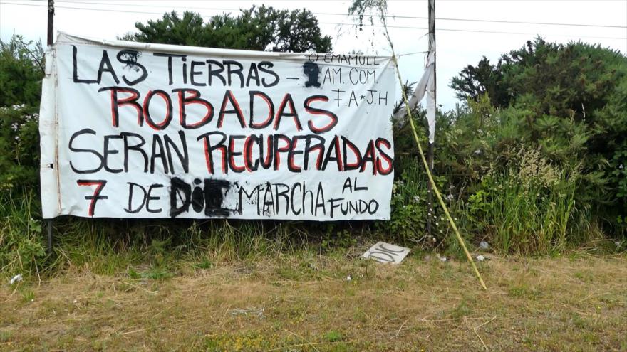 Mapuches inician recuperación de sus tierras ocupadas en Chile