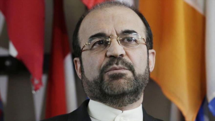 El viceministro de Asuntos Exteriores para Asuntos Jurídicos e Internacionales de Irán, Reza Nayafi.