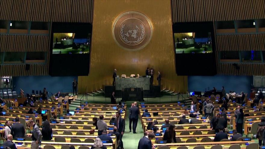 Palestina celebra voto histórico de la ONU, preludio de liberación | HISPANTV
