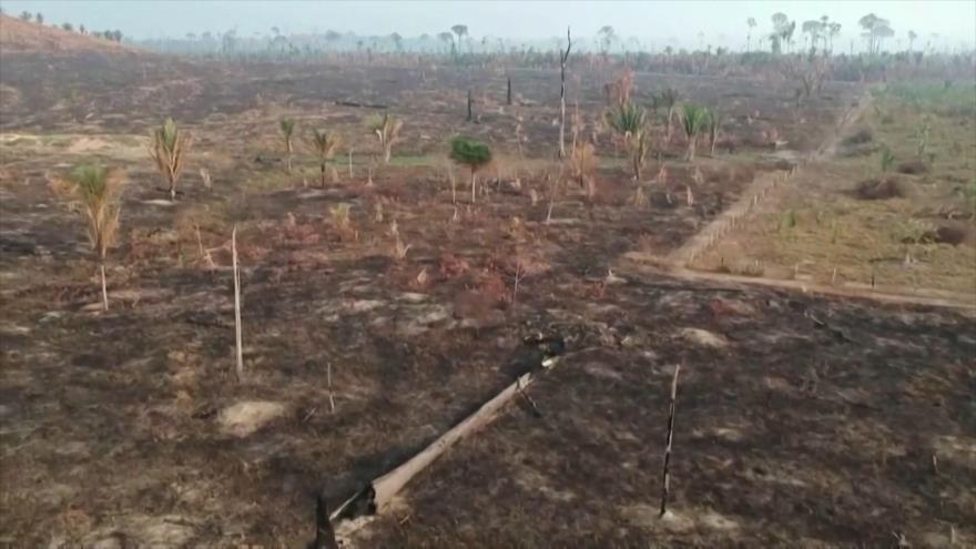 Brasil deja de ser un “paria ambiental”, jura nueva ministra Silva