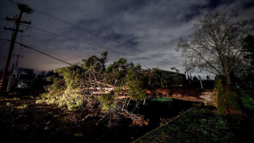 Un árbol bloquea una carretera después de que cayera con fuertes vientos durante una tormenta de invierno en California, EE.UU., 8 de enero de 2023. (Foto: Reuters)