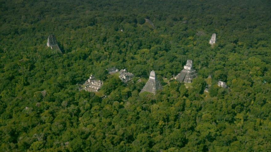 Imagen superior de una Megalópolis maya situada en la selva de Guatemala. 