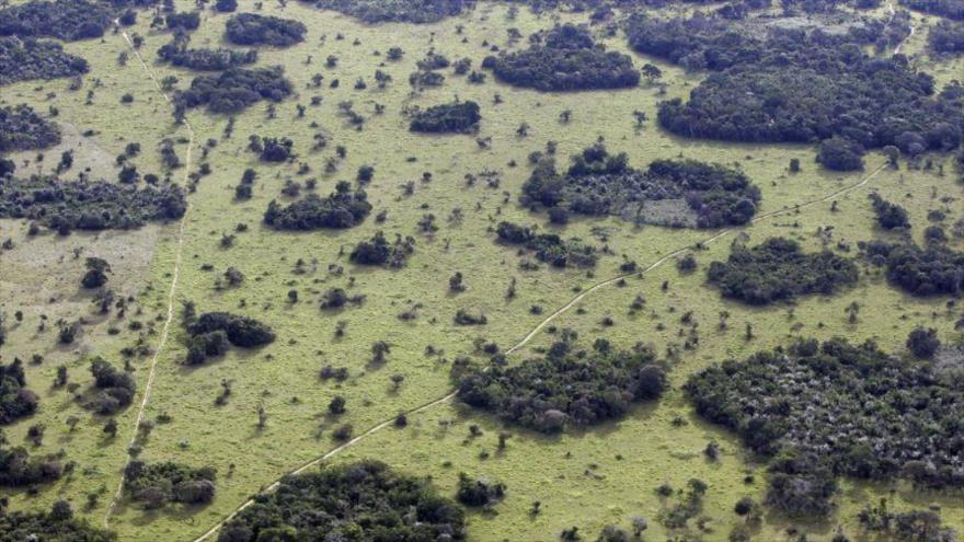 Vista aérea de la selva amazónica en el estado de Pará, Brasil, el 14 de mayo de 2020.
