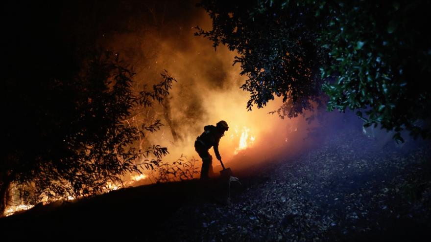 Incendios forestales dejan al menos 13 muertos en Chile