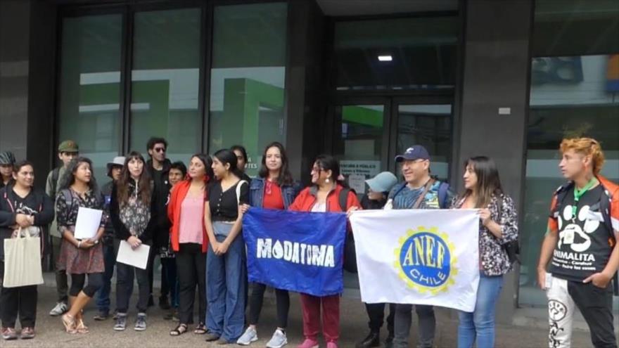 Organizaciones chilenas critican empresas forestales
