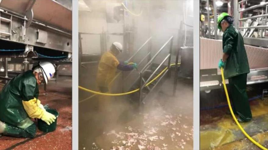 Explotación infantil en EEUU :102 niños trabajan en condiciones peligrosas | HISPANTV