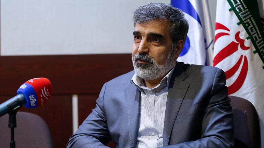 Portavoz de la Organización de Energía Atómica de Irán (OEAI), Behruz Kamalvandi.