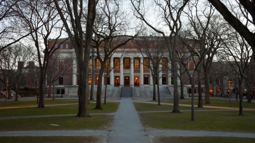 Una vista de Harvard Yard en el campus de la Universidad de Harvard, Cambridge, EE.UU. 