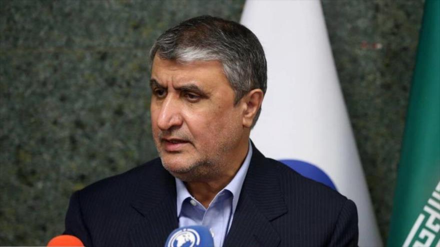 Jefe de la Organización de Energía Atómica de Irán (OEAI), Mohamad Eslami.