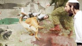 Sionismo: Perros, colonos y política de exterminio