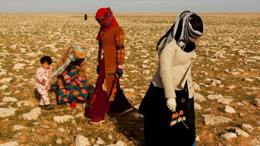 La gente busca trufas en el desierto de Samawa, en Irak, febrero de 2021. (Foto: Reuters)