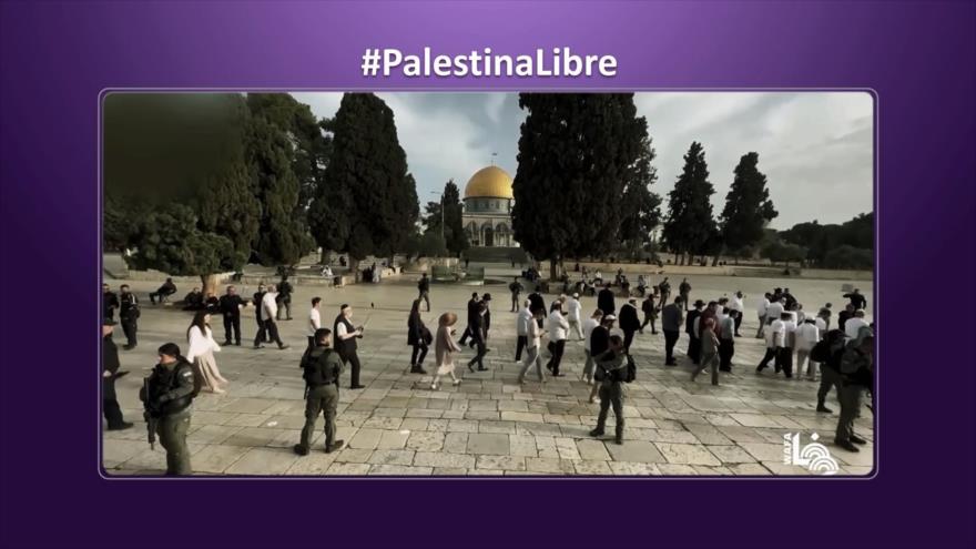 “Palestina Libre” llena las redes sociales | Etiquetaje