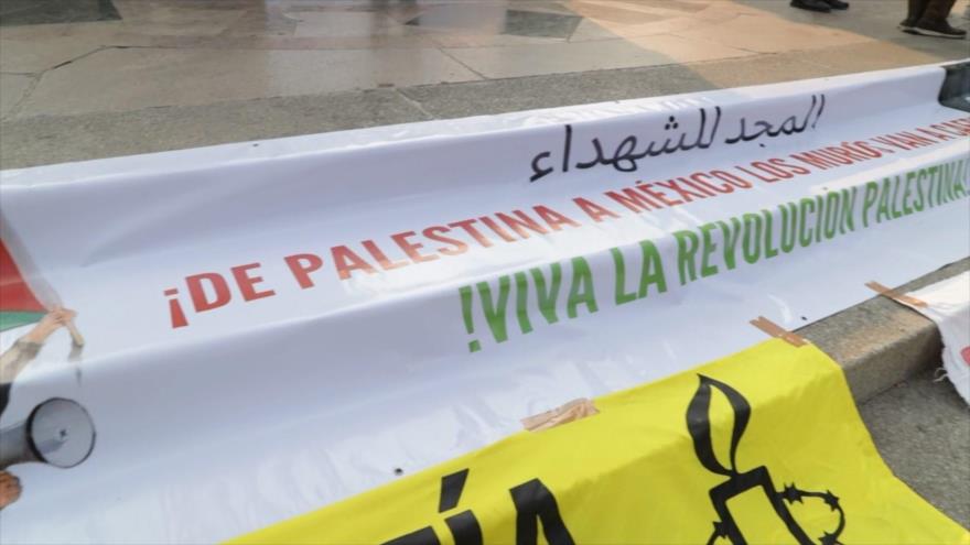 Defender a Palestina desde México | Minidocu