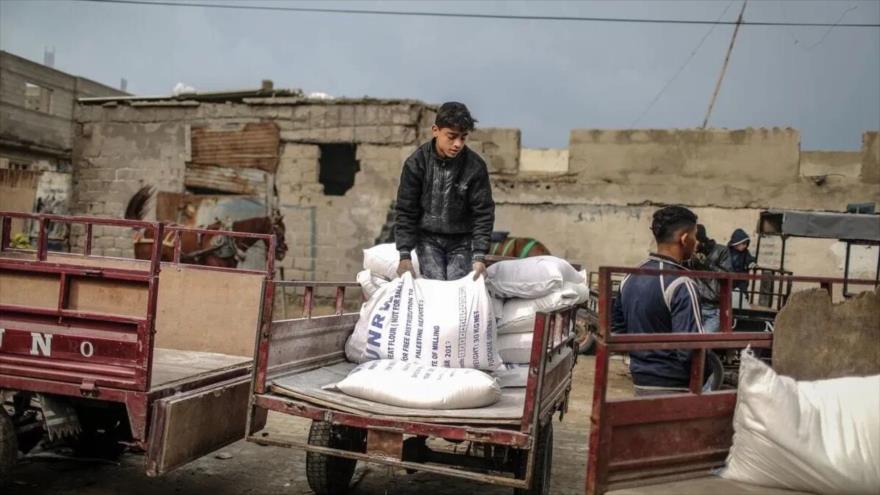 Un niño lleva la ayuda alimentaria distribuida por UNRWA en el campamento de refugiados de Al-Shati en Franja de Gaza, Gaza, 15 de enero de 2018.