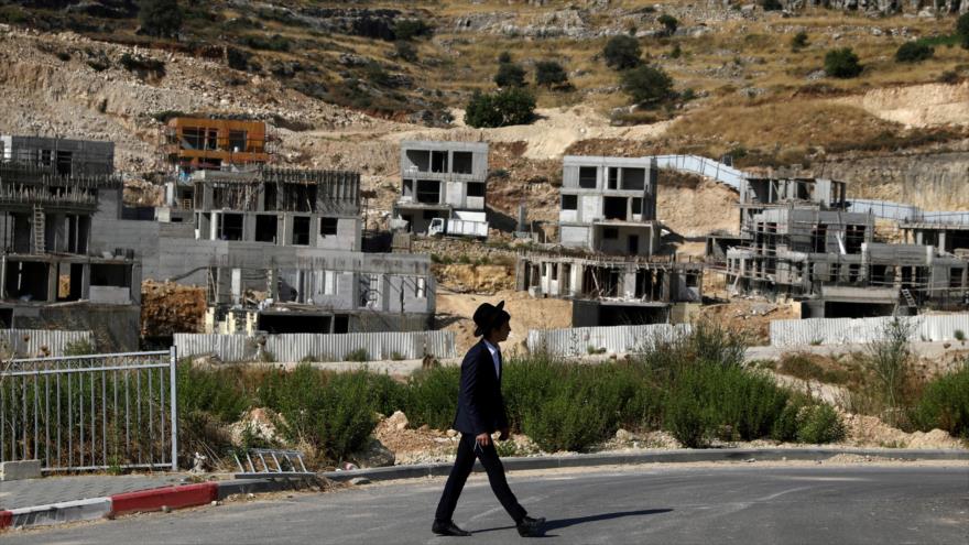 Israel publica licitaciones para asentamientos violando su compromiso | HISPANTV