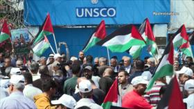 Conmemoración del día de la Nakba en el mundo | Causa Palestina