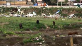 Pobreza, la otra cara de la moneda en Chile