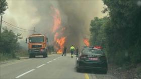 Llega a Haifa serie de incendios en territorios ocupados por Israel