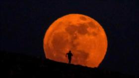 Disfruten de la brillante luna llena de este 2023: La Luna de fresa