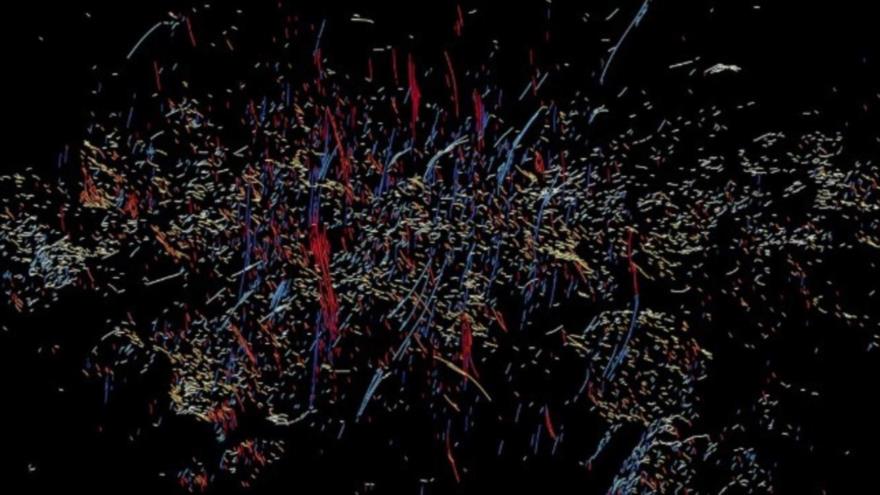 Una imagen del telescopio MeerKat del Observatorio Radioastronómico Sudafricano muestra los misteriosos filamentos del centro de la Vía Láctea.