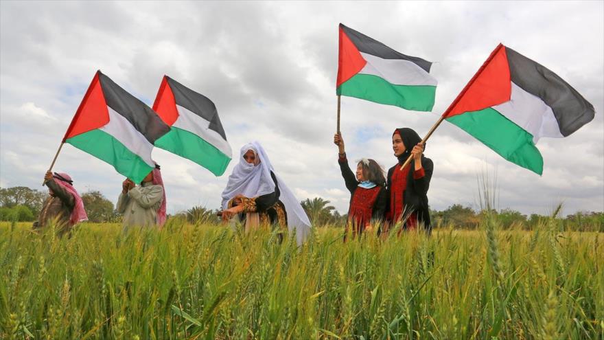Palestinos ondean banderas nacionales palestinas en tierras agrícolas.