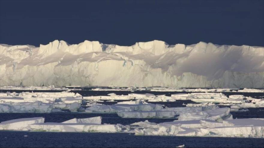 Una imagen de icebergs en la Antártida.