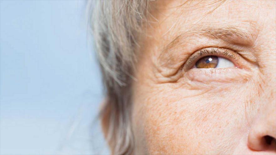 Descubren una proteína clave en el envejecimiento de la piel.