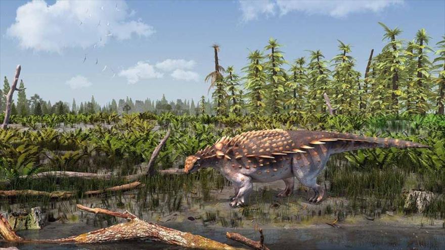 Ilustración de la nueva especie de dinosaurio Vectipelta barretti
