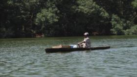 Gobierno hondureño sigue sin detener asesinatos de ambientalistas