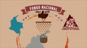 Futuros del café, desgracias del presente | Minidocu