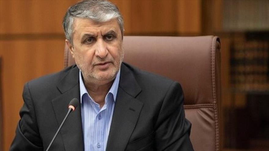Mohamad Eslami, jefe de la Organización de Energía Atómica de Irán (OEAI). 