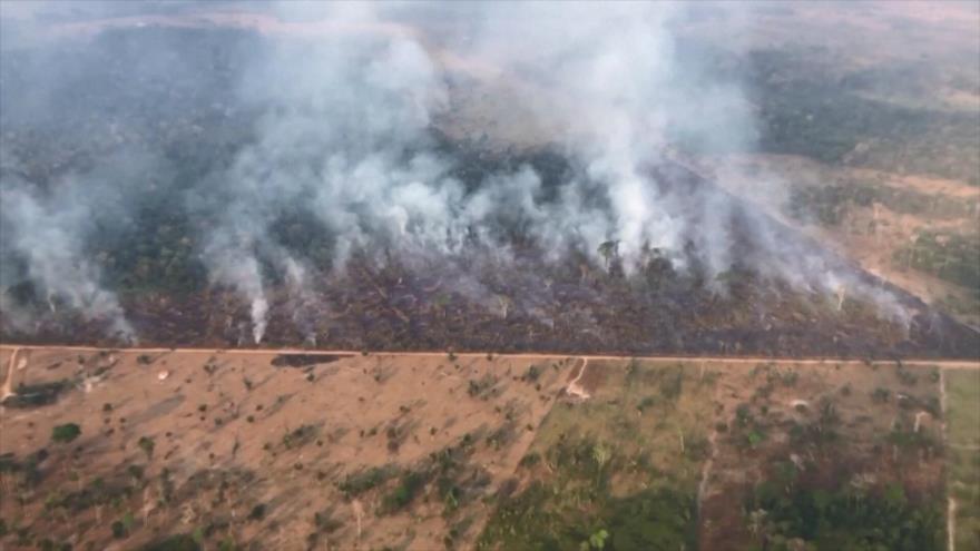 Deforestación en Amazonía brasileña cae 33,6 % entre enero y junio | HISPANTV