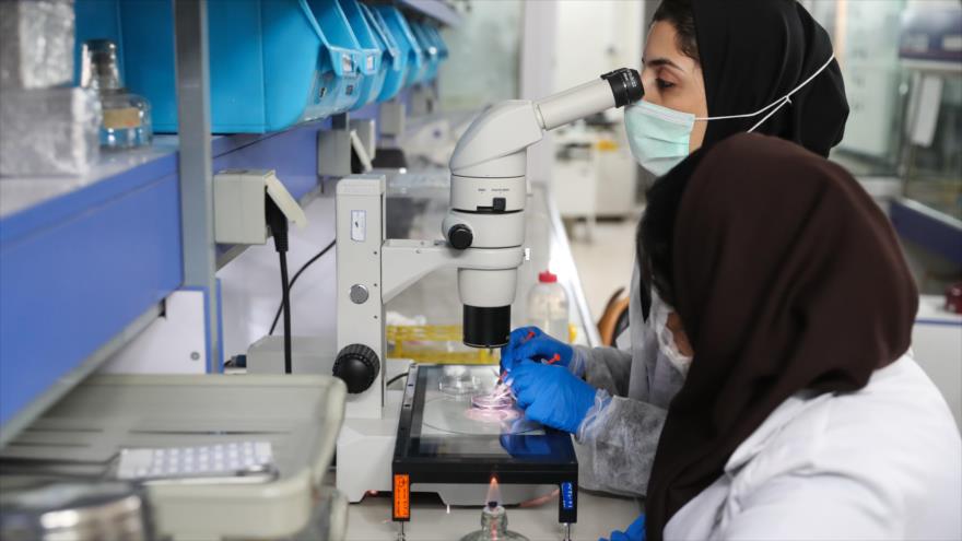 Irán usa células madre para tratar enfermedades intratables.