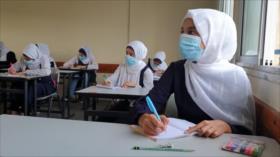 Educación bajo la ocupación | Causa Palestina
