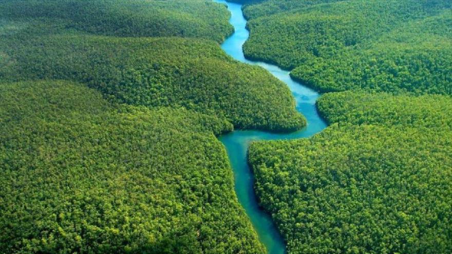 ‘Cumbre sobre Amazonía afronta la codicia permanente del imperialismo’
