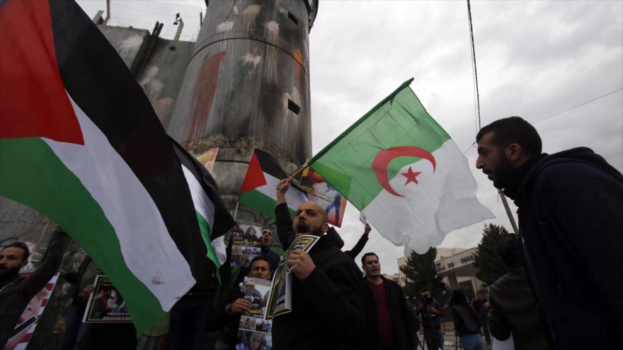 Argelinos expresan su apoyo a Palestina durante una movilización. 