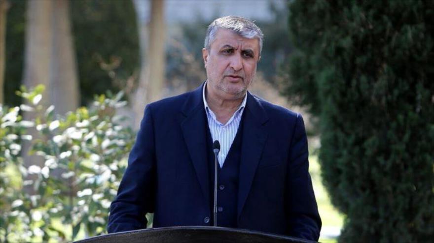 El jefe de la Organización de Energía Atómica de Irán (OEAI), Mohamad Eslami.