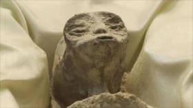 Científicos revelan cadáveres de “alienígenas momificados” en México