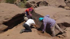 Hallan en Argentina huellas que datan de hace 15 millones de años
