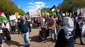Cientos de manifestantes se solidarizan con Palestina en EEUU