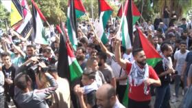 Sirios desarrollan actividades en apoyo al pueblo palestino