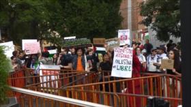 Se manifiestan en apoyo a Palestina en México