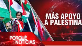 Más apoyo a Palestina| El Porqué de las Noticias