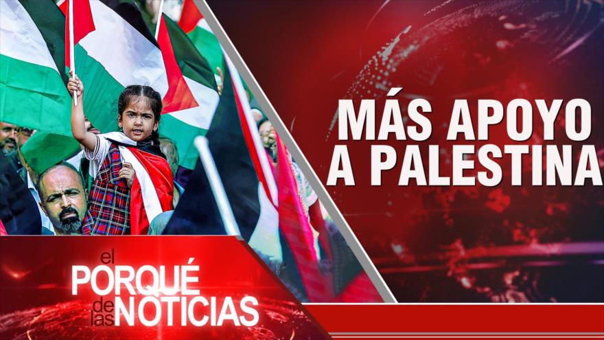 Más apoyo a Palestina| El Porqué de las Noticias
